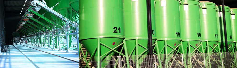 Banner Pagina banner 2